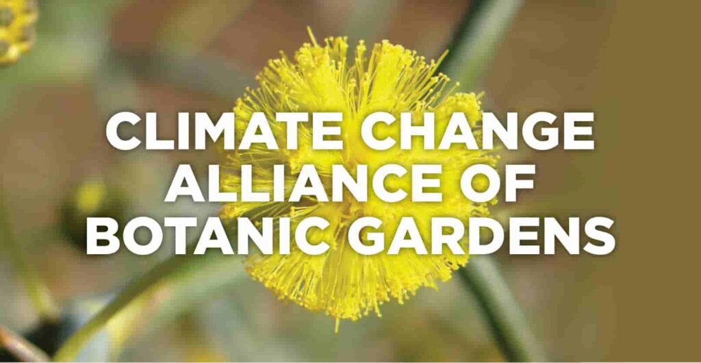 Logo Climate-Change-Alliance