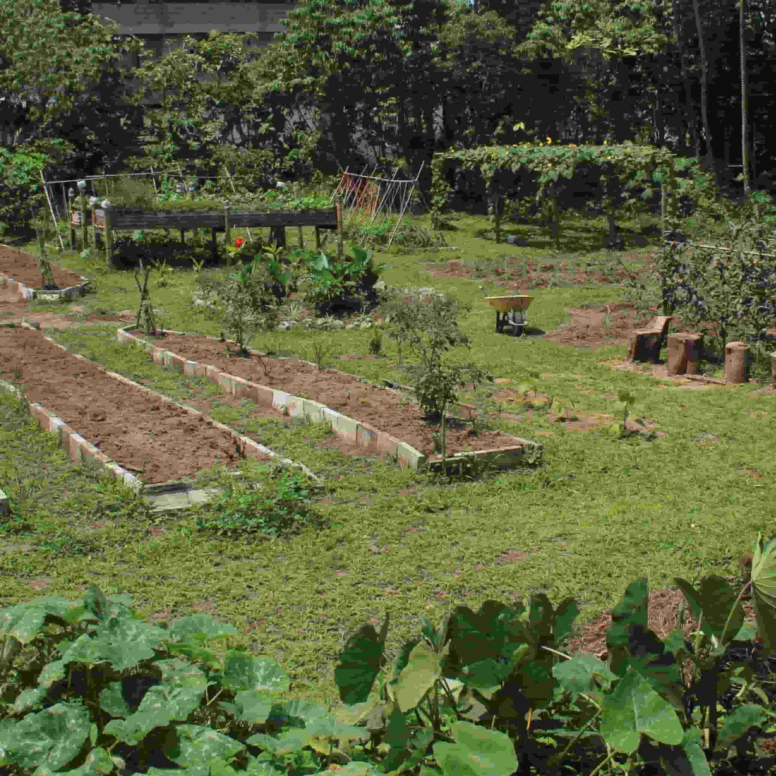 Huerta Eco Didáctica en el Jardín Botánico Padre Julio Marrero de la PUCESD