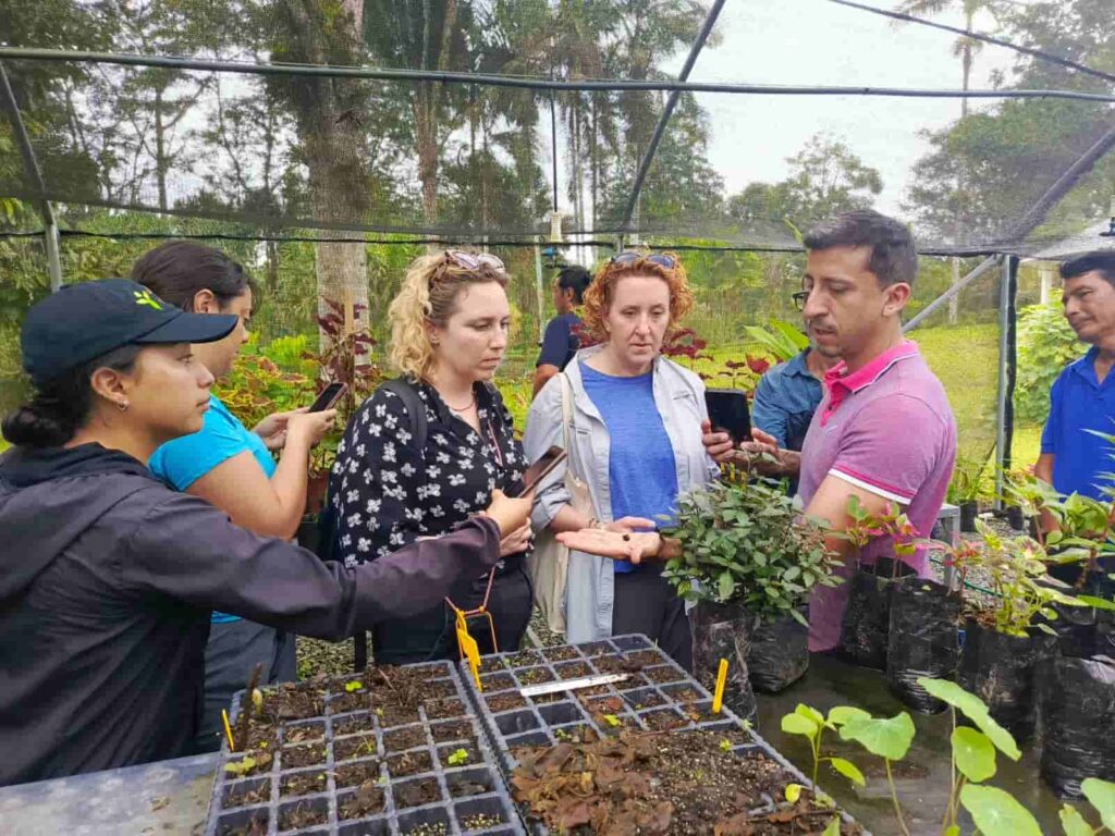 JBPJM El Magíster Francisco Sánchez conversa con investigadores internacionales durante una visita técnica, observando plántulas y especies en cultivo en el vivero del JBPJM.