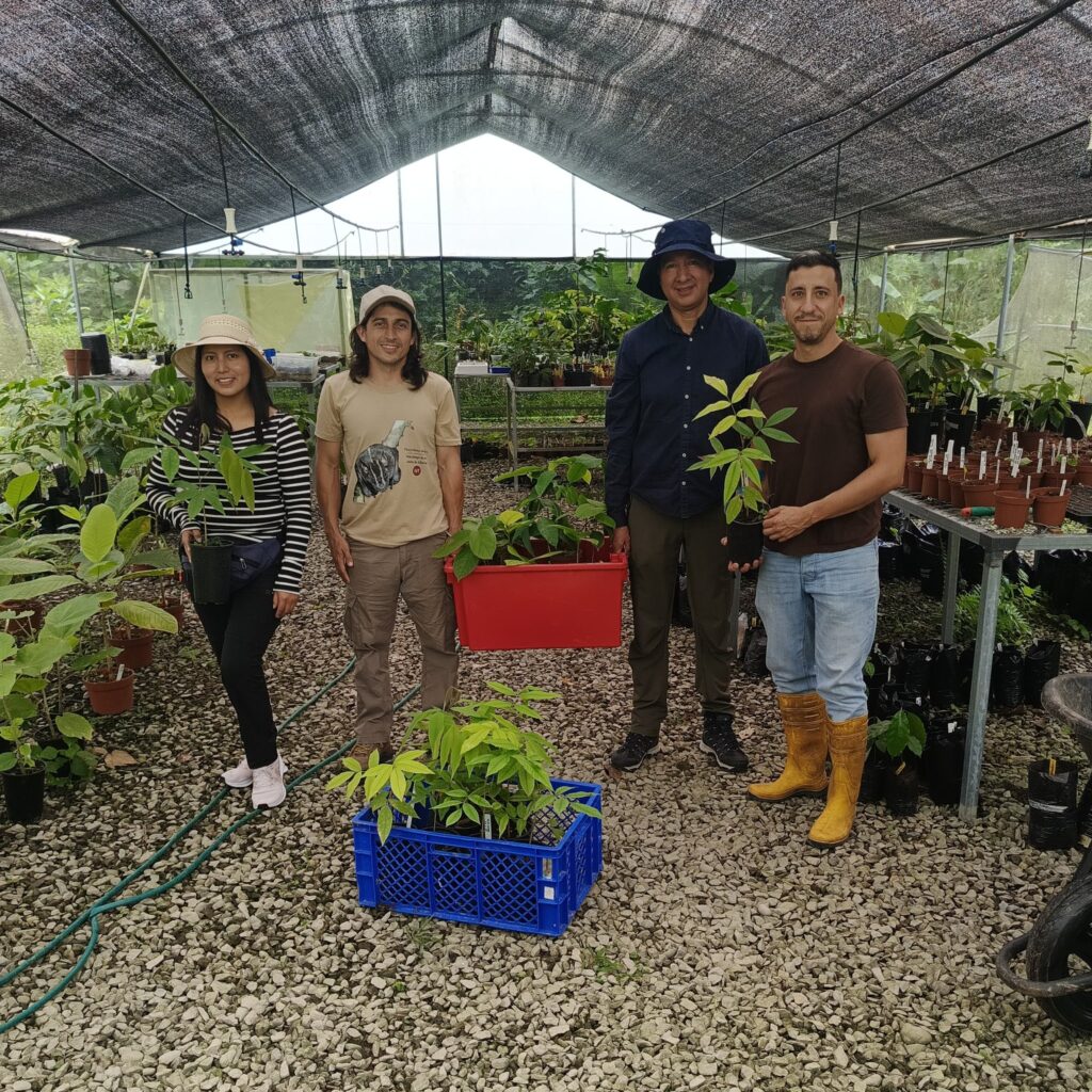 invernadero-jbpjm-Centinela (1) Colección de plantas de investigación del JBPJM en invernadero