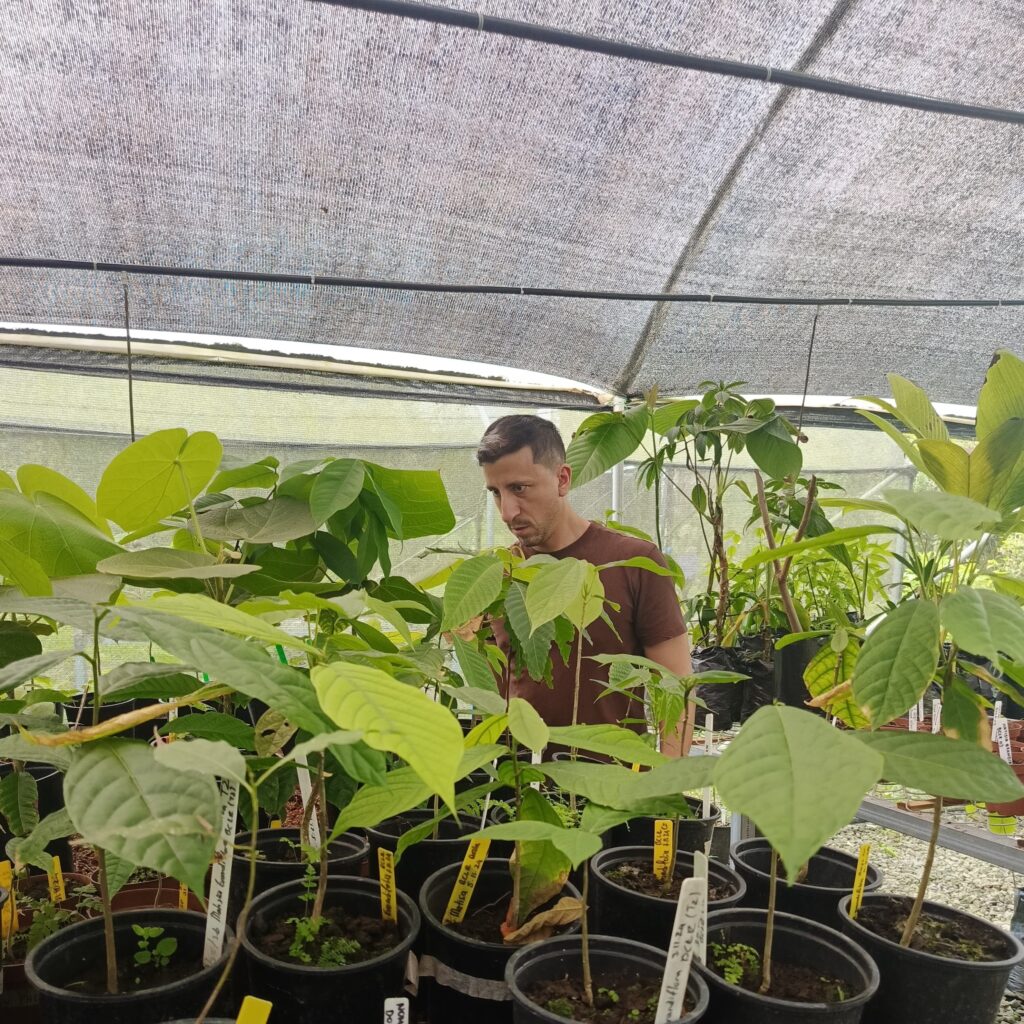 invernadero-jbpjm-Centinela- (1) Colección de plantas de investigación del JBPJM en invernadero