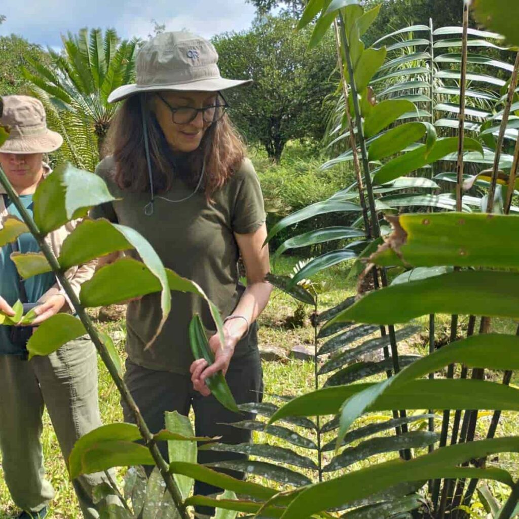 Visita de la Dra. Vannesa Handley y Cristina López-Gallego al Jardín Botánico Padre Julio Marrero.